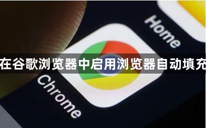 如何在谷歌浏览器中启用浏览器自动填充功能1