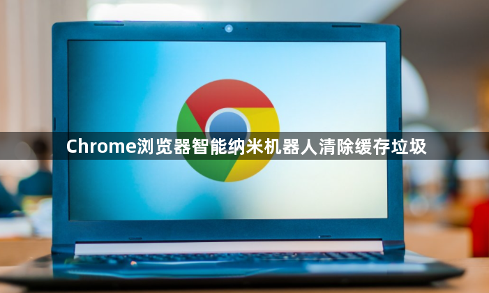 Chrome浏览器智能纳米机器人清除缓存垃圾1