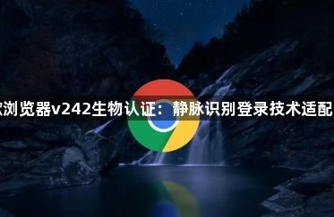 谷歌浏览器v242生物认证:静脉识别登录技术适配指南1