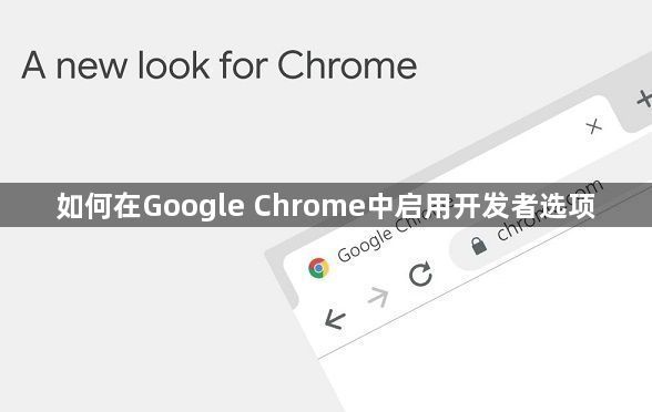 如何在Google Chrome中启用开发者选项1