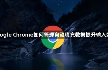 Google Chrome如何管理自动填充数据提升输入效率1