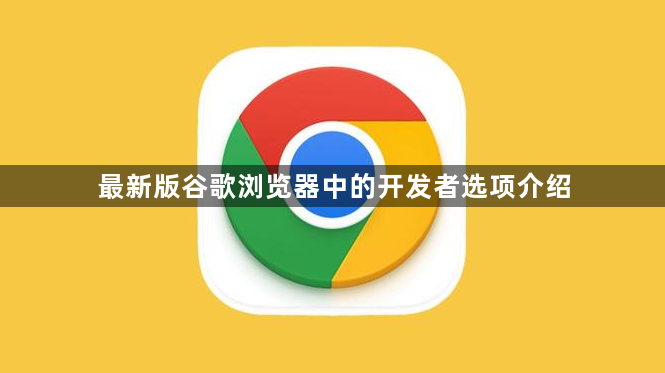 最新版谷歌浏览器中的开发者选项介绍1