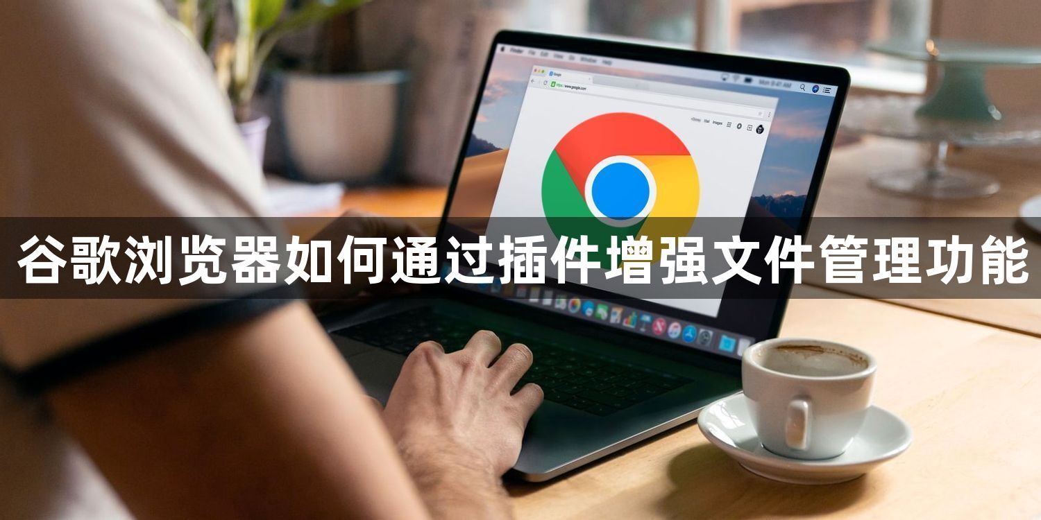 谷歌浏览器如何通过插件增强文件管理功能1