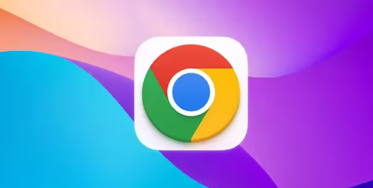 Google浏览器的隐私和安全设置指南