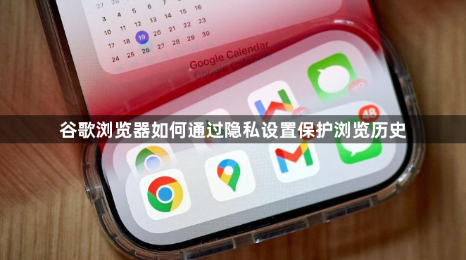 谷歌浏览器如何通过隐私设置保护浏览历史1