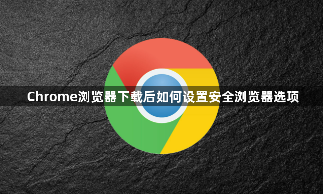 Chrome浏览器下载后如何设置安全浏览器选项1