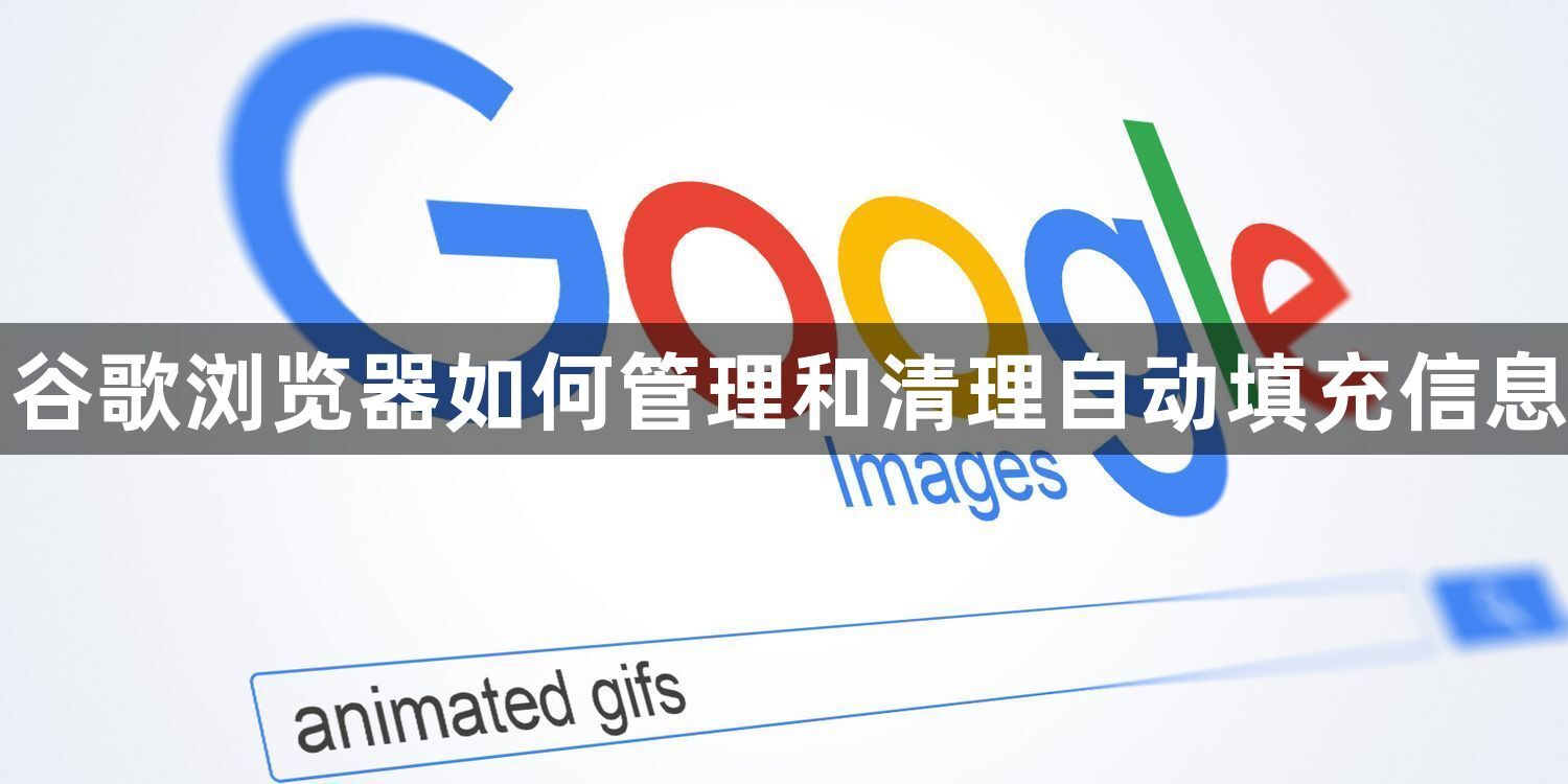 谷歌浏览器如何管理和清理自动填充信息1