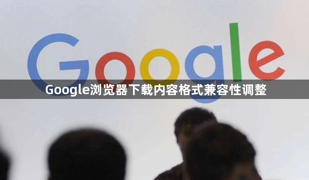 Google浏览器下载内容格式兼容性调整1