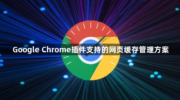 Google Chrome插件支持的网页缓存管理方案1