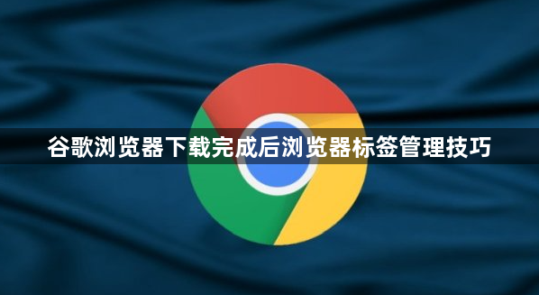 谷歌浏览器下载完成后浏览器标签管理技巧1