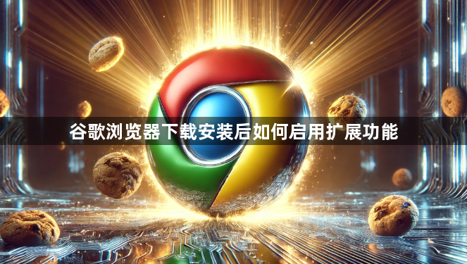 谷歌浏览器下载安装后如何启用扩展功能1