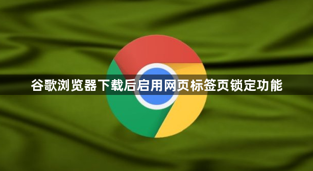 谷歌浏览器下载后启用网页标签页锁定功能1
