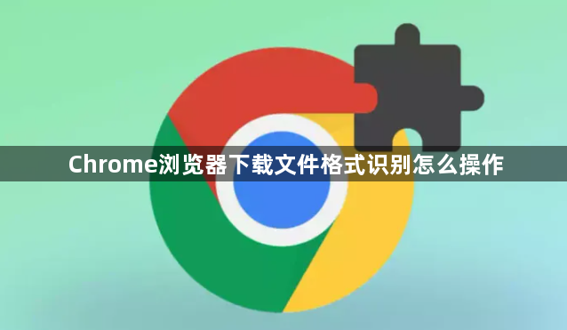 Chrome浏览器下载文件格式识别怎么操作1