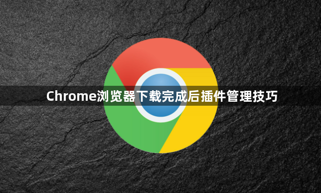 Chrome浏览器下载完成后插件管理技巧1