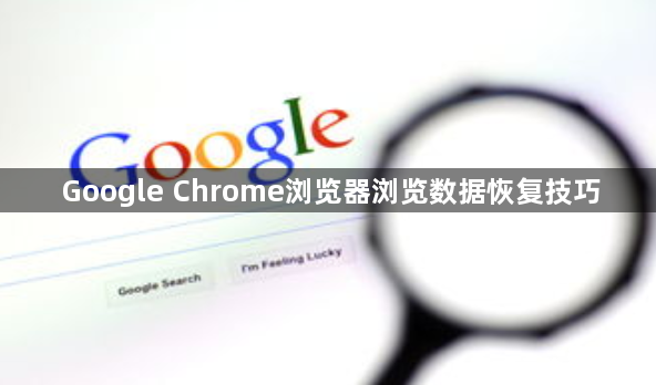 Google Chrome浏览器浏览数据恢复技巧1
