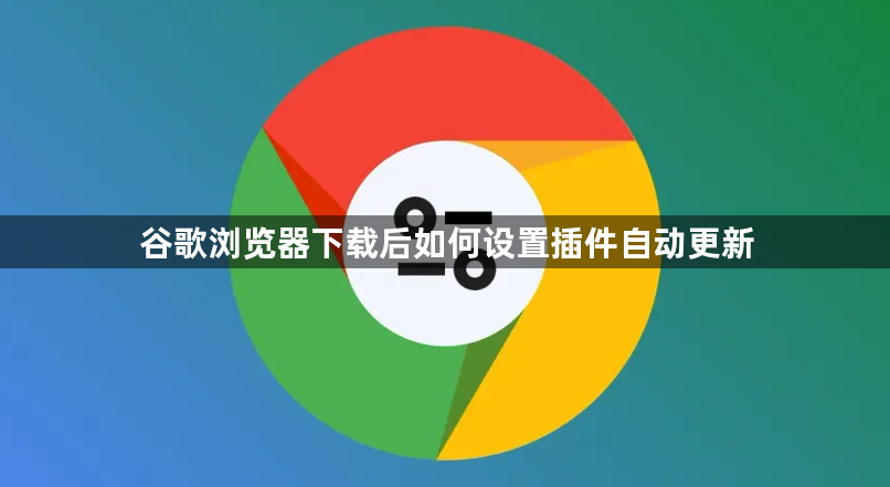 谷歌浏览器下载后如何设置插件自动更新1
