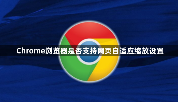 Chrome浏览器是否支持网页自适应缩放设置1