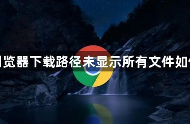 谷歌浏览器下载路径未显示所有文件如何修复1