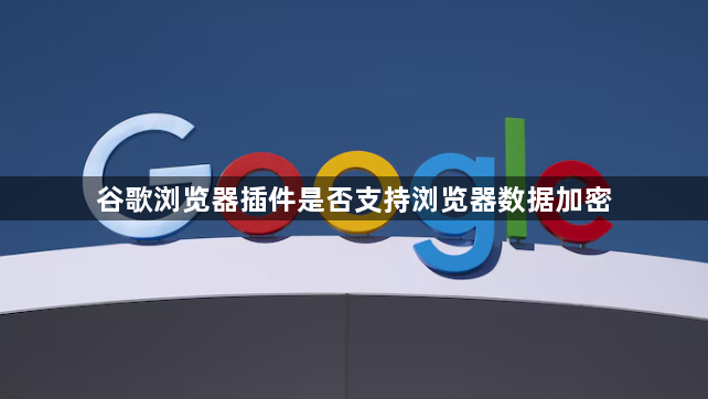 谷歌浏览器插件是否支持浏览器数据加密1