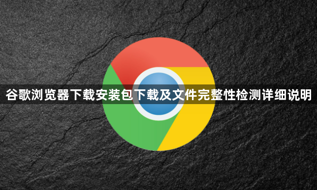 谷歌浏览器下载安装包下载及文件完整性检测详细说明1