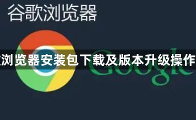 谷歌浏览器安装包下载及版本升级操作流程1