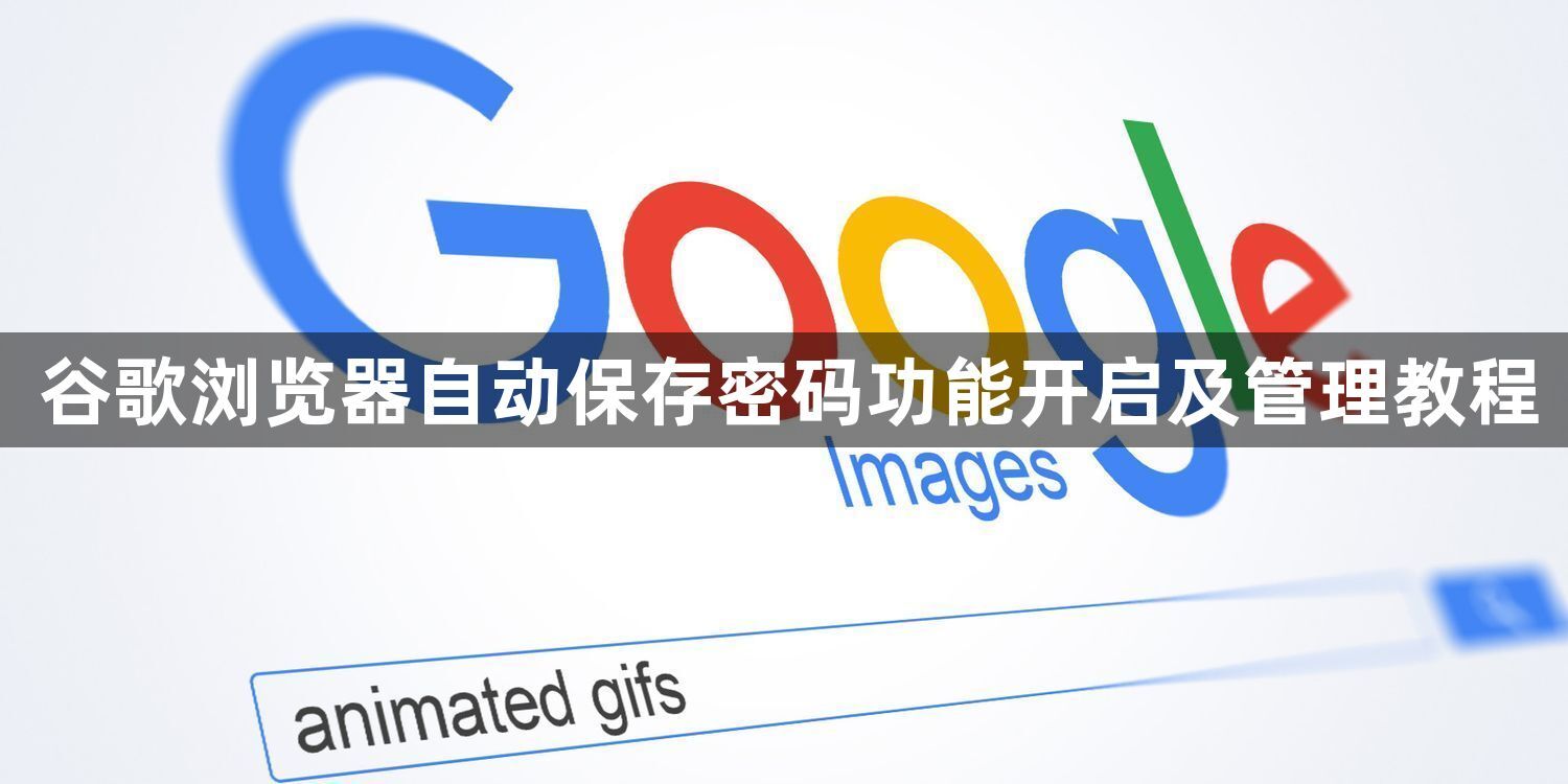 谷歌浏览器自动保存密码功能开启及管理教程1