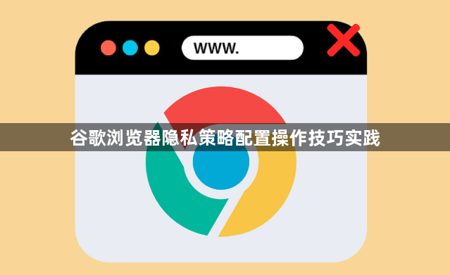 谷歌浏览器隐私策略配置操作技巧实践1