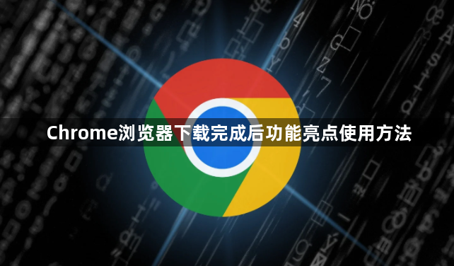 Chrome浏览器下载完成后功能亮点使用方法1